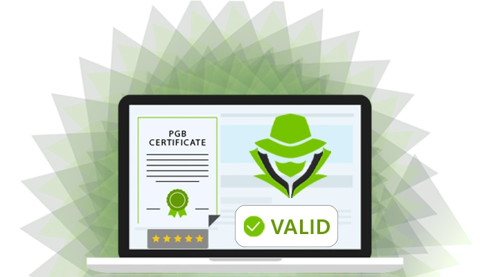 Verify the Guarantee Letter digital signature for your crypto mixer order