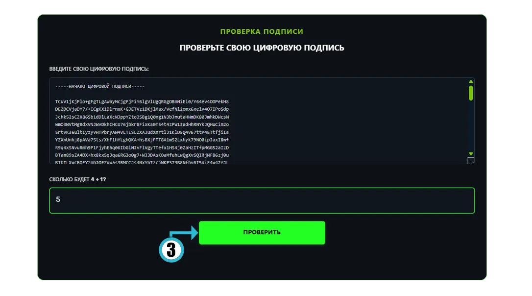 Страница проверки подписи с полем ВВЕДИТЕ СВОЮ ЦИФРОВУЮ ПОДПИСЬ